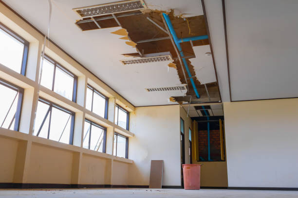Best Water damage restoration near me  in Crest View Heights, NY