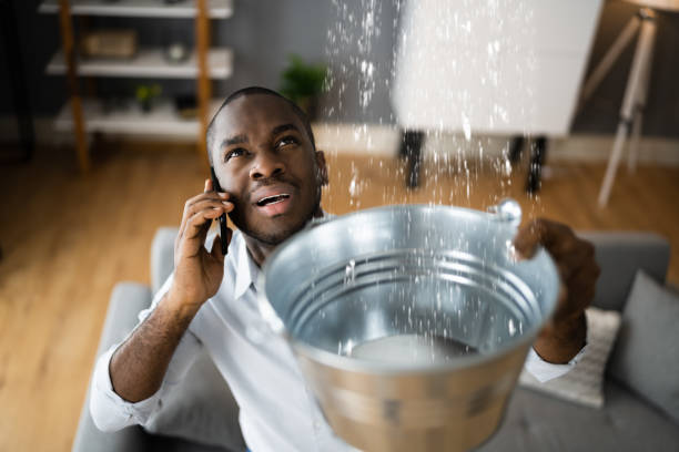 Best Flood damage cleanup  in Crest View Heights, NY