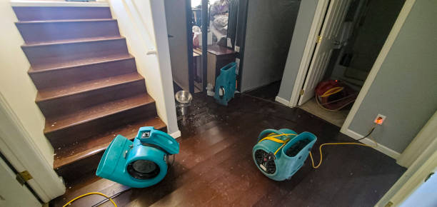 Best Water damage cleanup near me  in Crest View Heights, NY