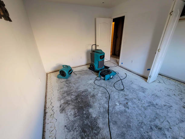 Best Residential water damage restoration  in Crest View Heights, NY
