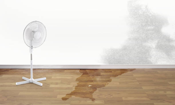 Reliable Crest View Heights, NY Water damage restoration Solutions