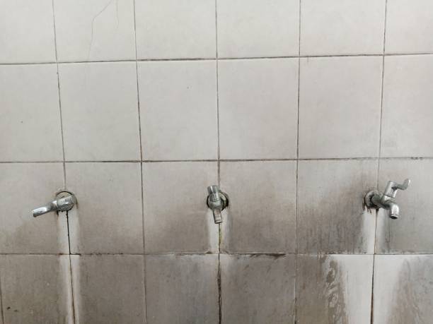 Water damage restoration process in Crest View Heights, NY